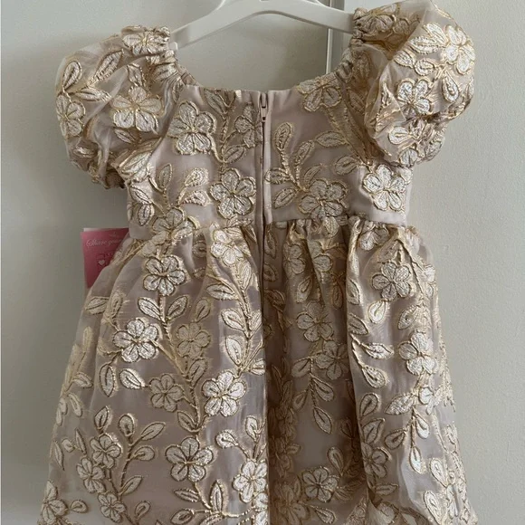 BRAND NEW Rare Editions Gold Floral Lace Party Dress (toddler 2T) - Picture 2 of 2